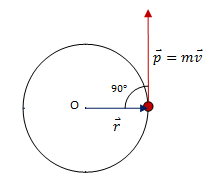 fig angular momentum